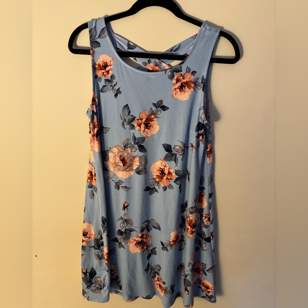 Francesca’s Alya babydoll light blue dress pink floral cross back